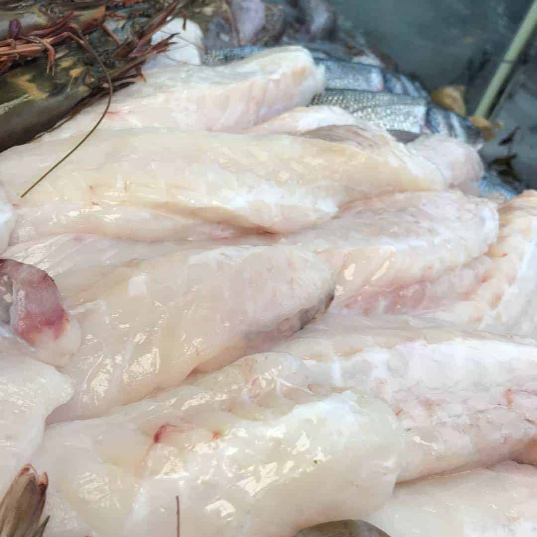 Monkfish Fillets
